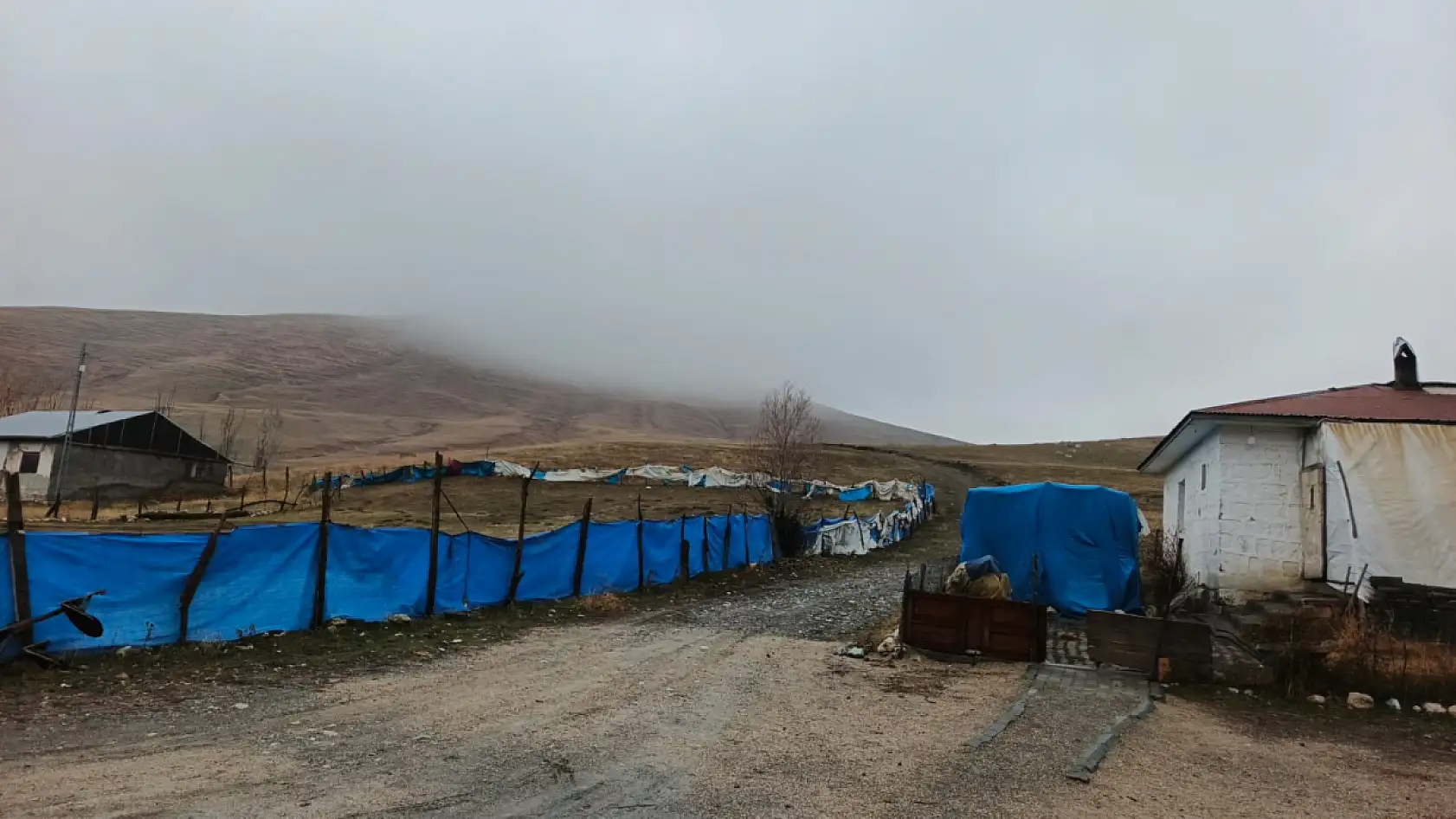 Dede Maksut Köyü'nde kar beklenirken sis bastı