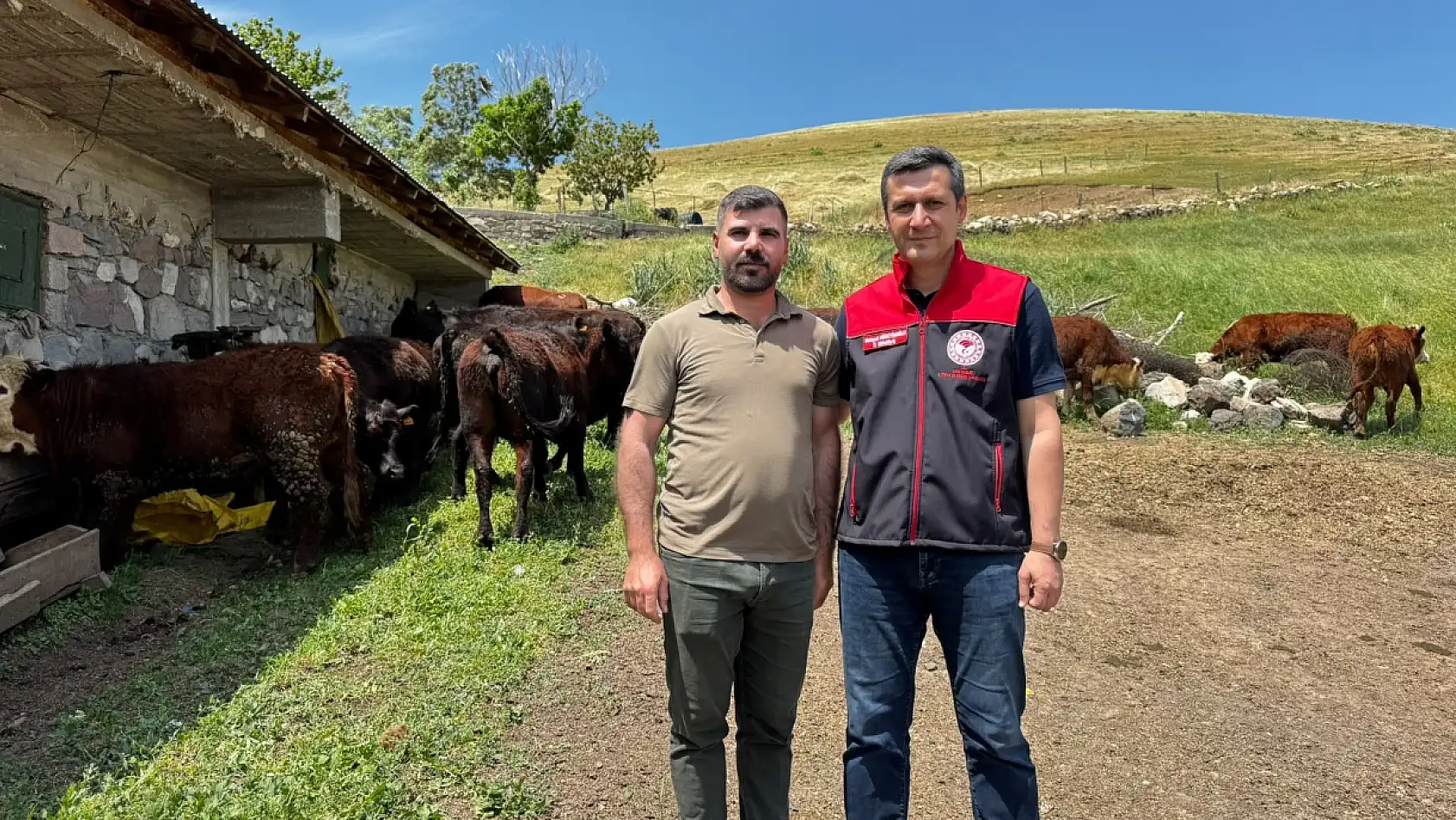 Ağrı'da damızlık düve desteği üreticinin yüzünü güldürdü