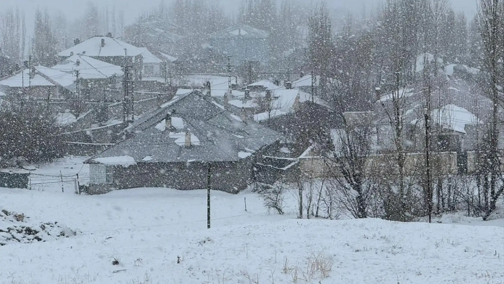 Van ve Bitlis'te kar yağışı etkili oldu
