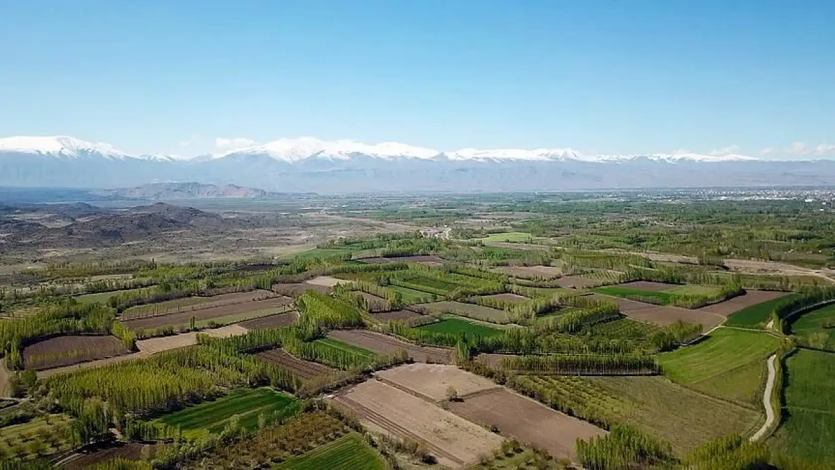 Tarım Arazisi Olanlar Dikkat! Hisseli Tapu ile Yapılan Bu Satışlar Geçersiz Sayılacak