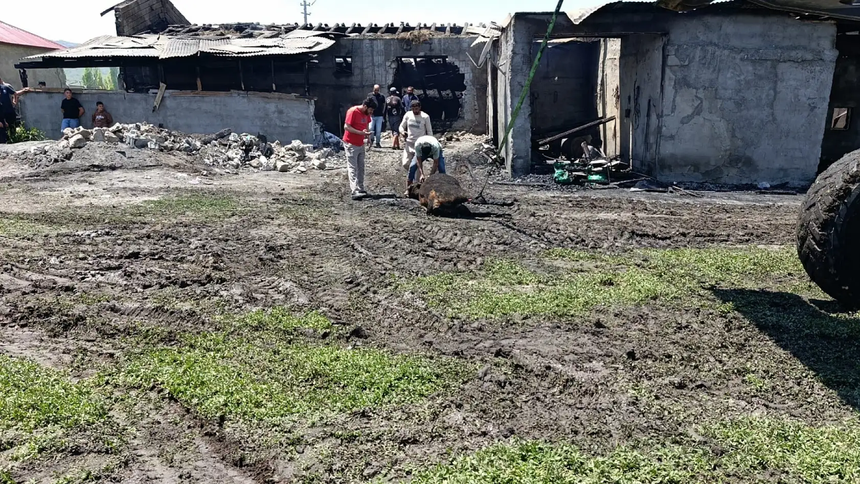 Ağrı'da yangında telef olan 30 büyükbaş hayvan toprağa gömüldü