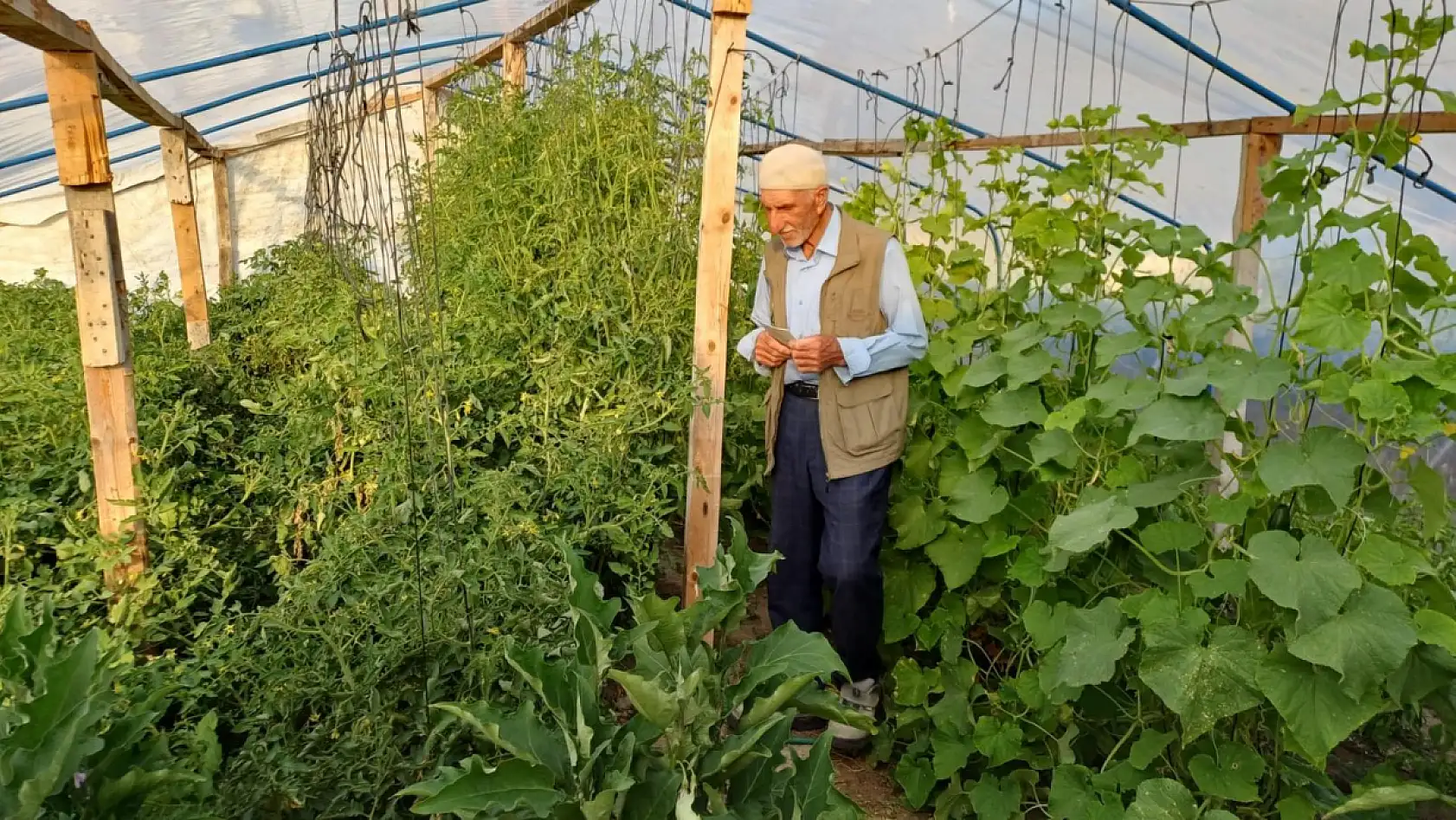 Diyadin'de 70  yaşındaki Abdullah Pelit toprağa hayat veriyor