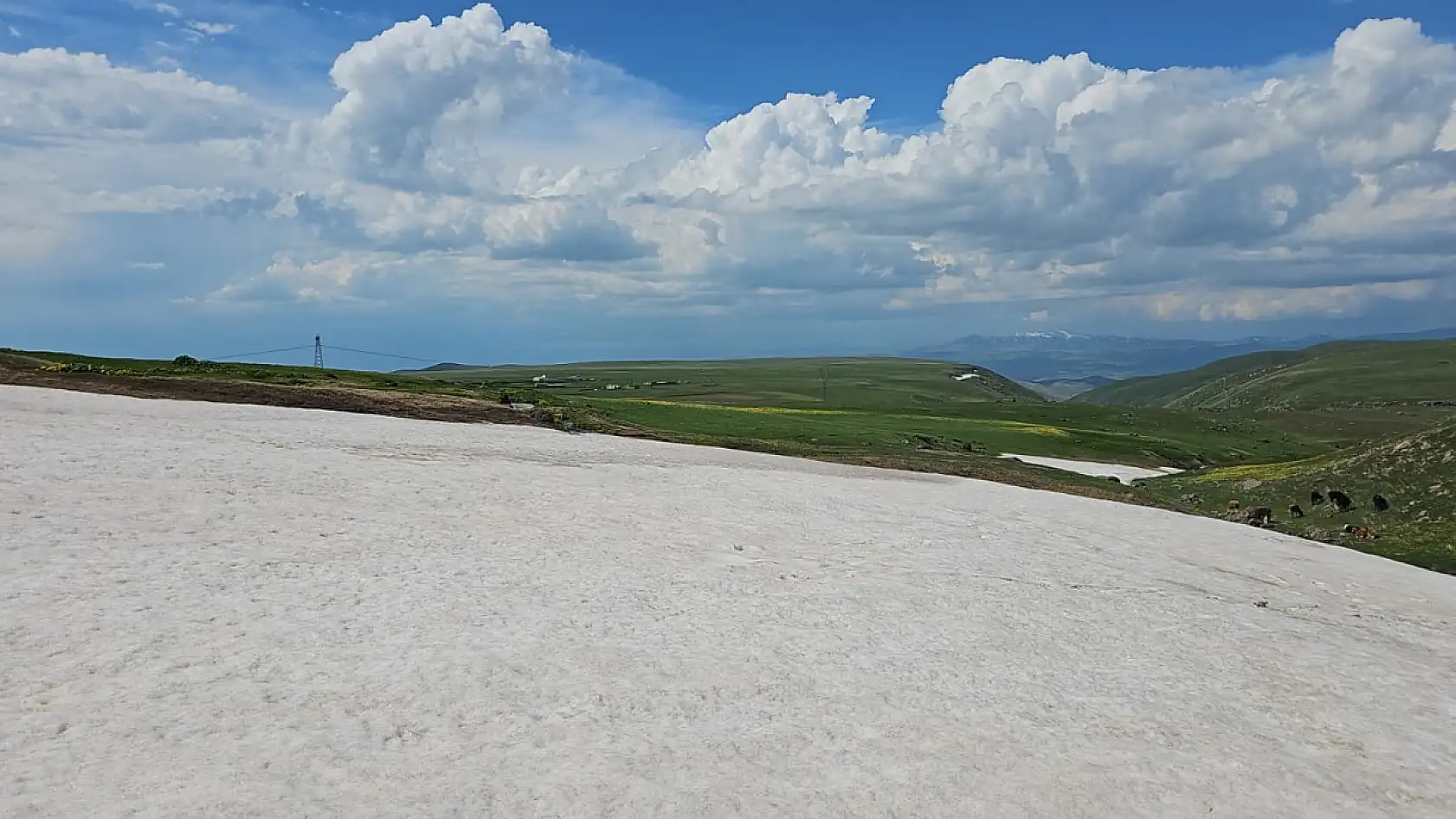 Ağrı'da haziranda kar ve yeşil bir arada