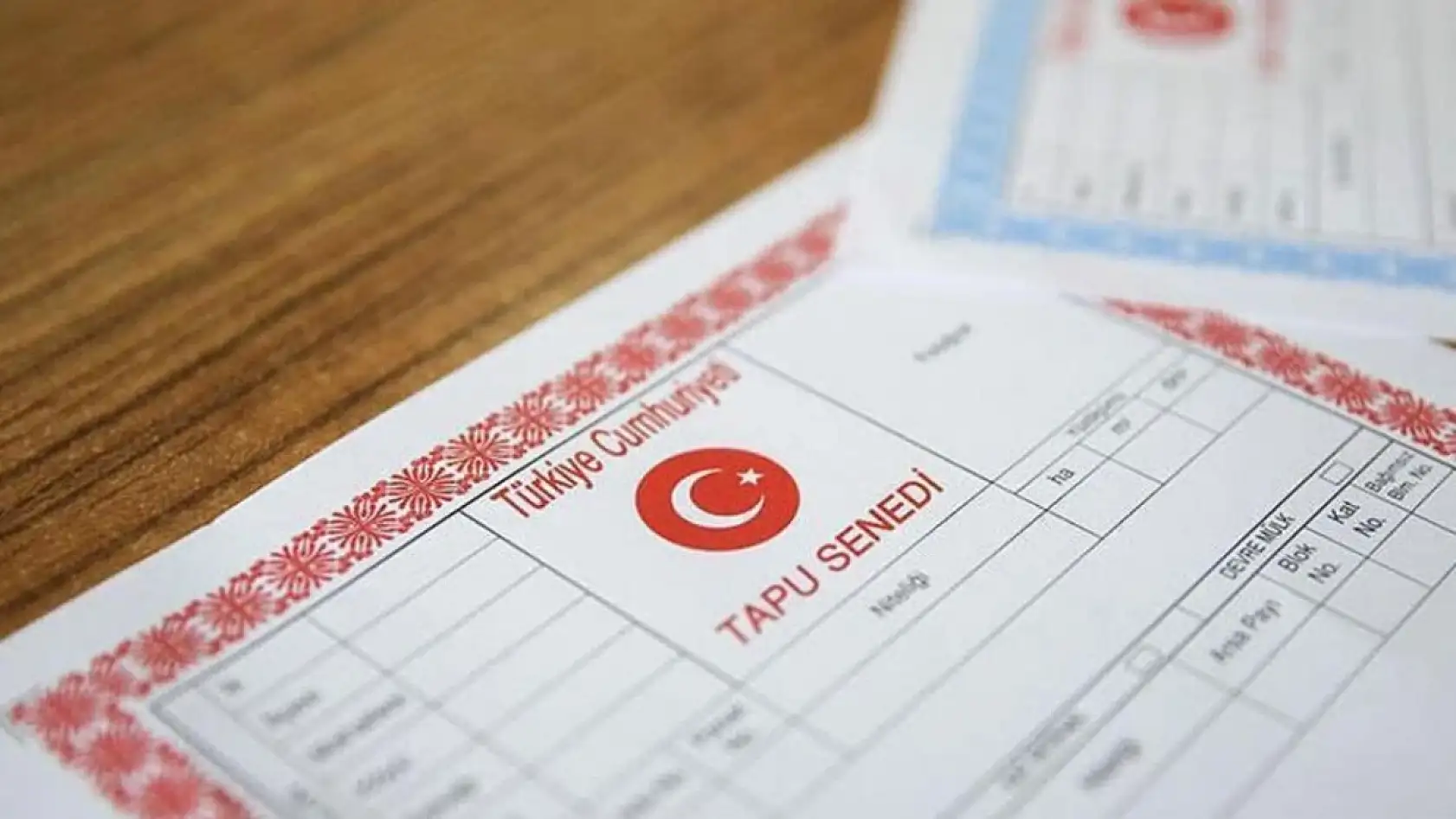 Tapu Rengi Hayati Önem Taşıyor: Mavi ve Pembe Tapu Arasındaki Fark Dikkat Çekti