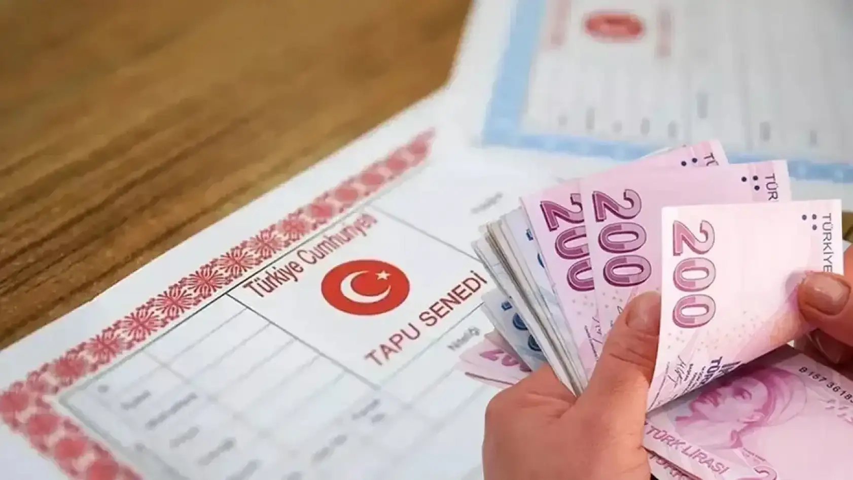 Tapu Rengi Hayati Önem Taşıyor: Mavi ve Pembe Tapu Arasındaki Fark Dikkat Çekti