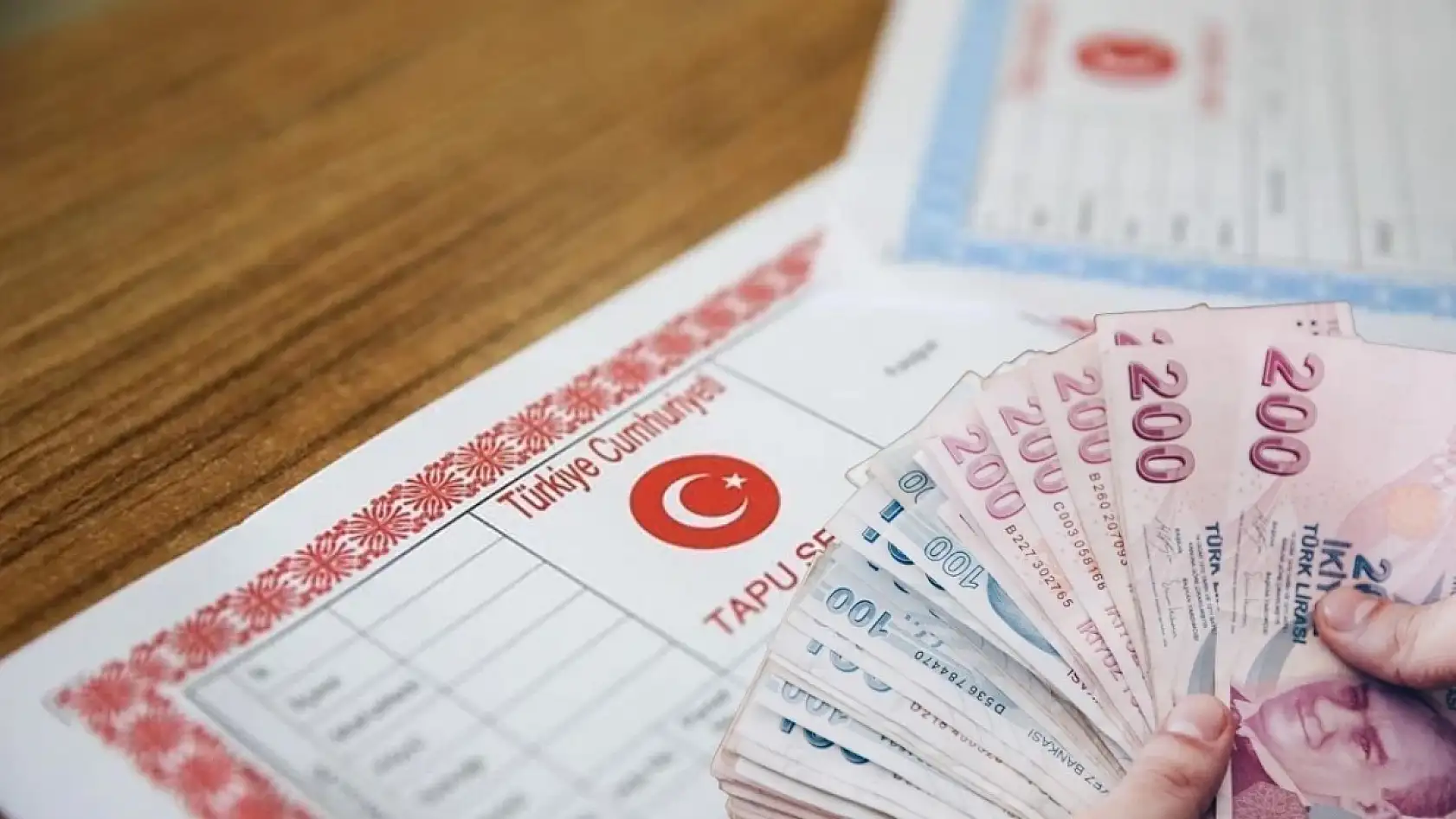 Tapu Rengi Hayati Önem Taşıyor: Mavi ve Pembe Tapu Arasındaki Fark Dikkat Çekti