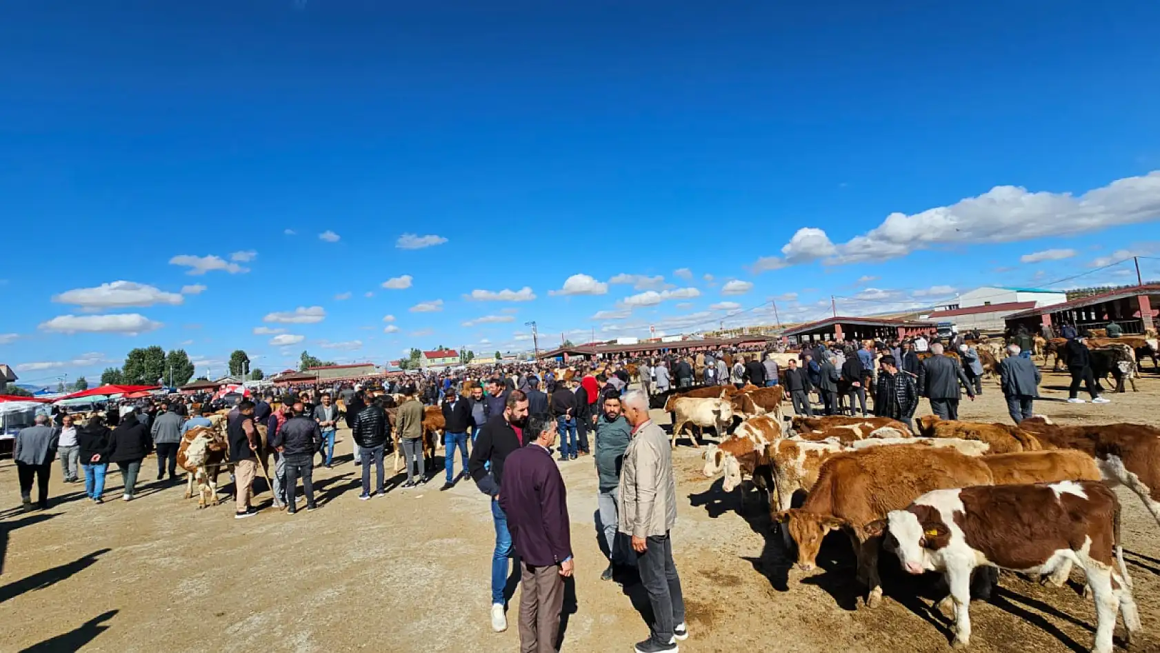 Ağrı'da hayvan fiyatları geriledi! Et fiyatlarına yansır mı?