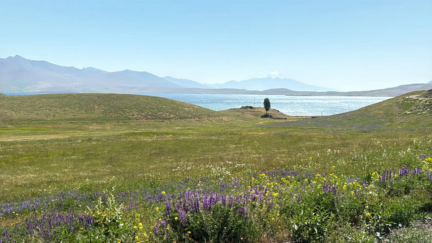 Ağrı'nın saklı güzelliği Balık Gölü, çiçeklerle yeniden doğuyor