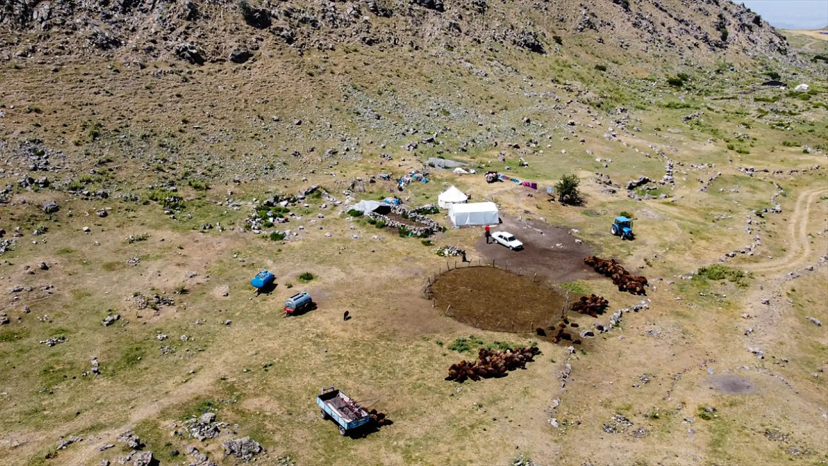 Ağrı Dağı eteklerinde ot bereketi: Yaylalar yeniden canlandı