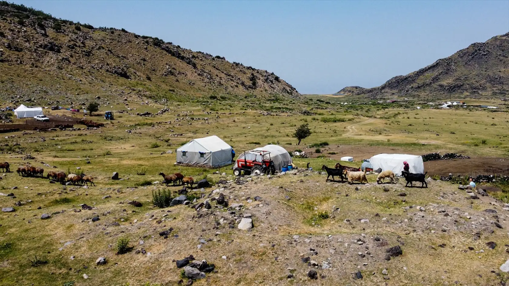 Ağrı Dağı eteklerinde ot bereketi: Yaylalar yeniden canlandı