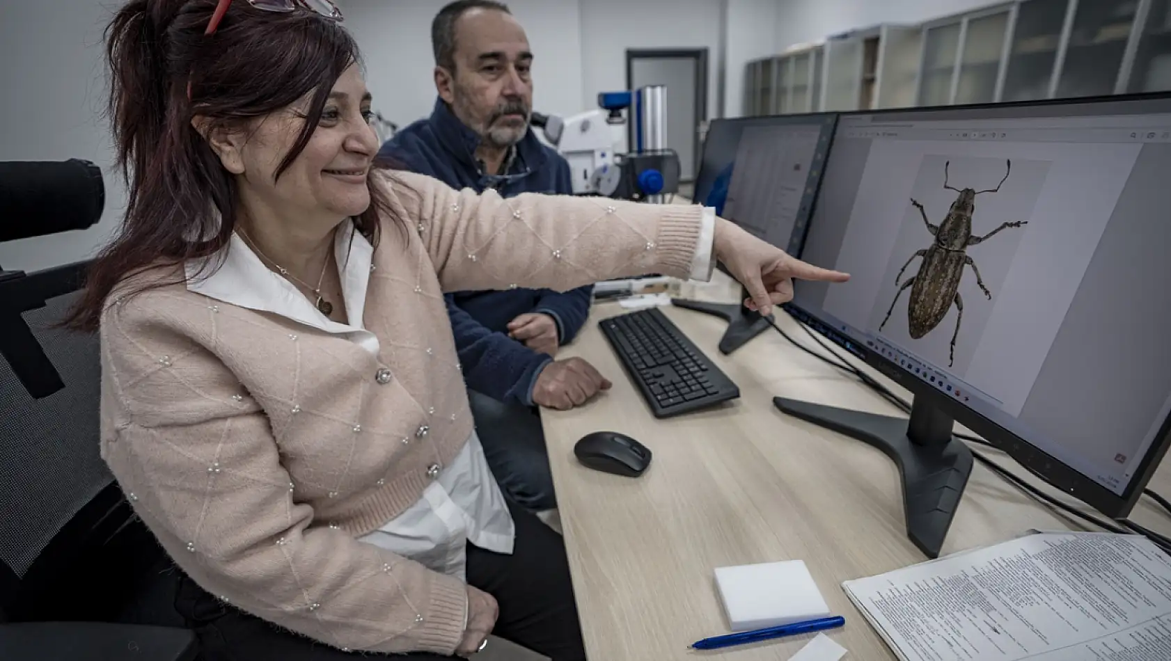 Anadolu'nun bilinmeyen böcekleri gün yüzüne çıkıyor