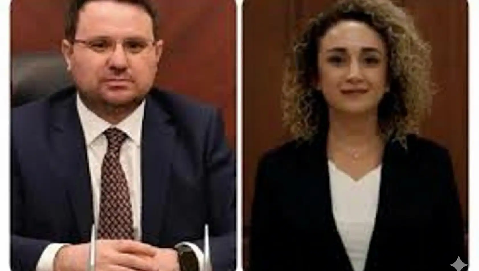 Elif Gülşah Gürlek kimdir?