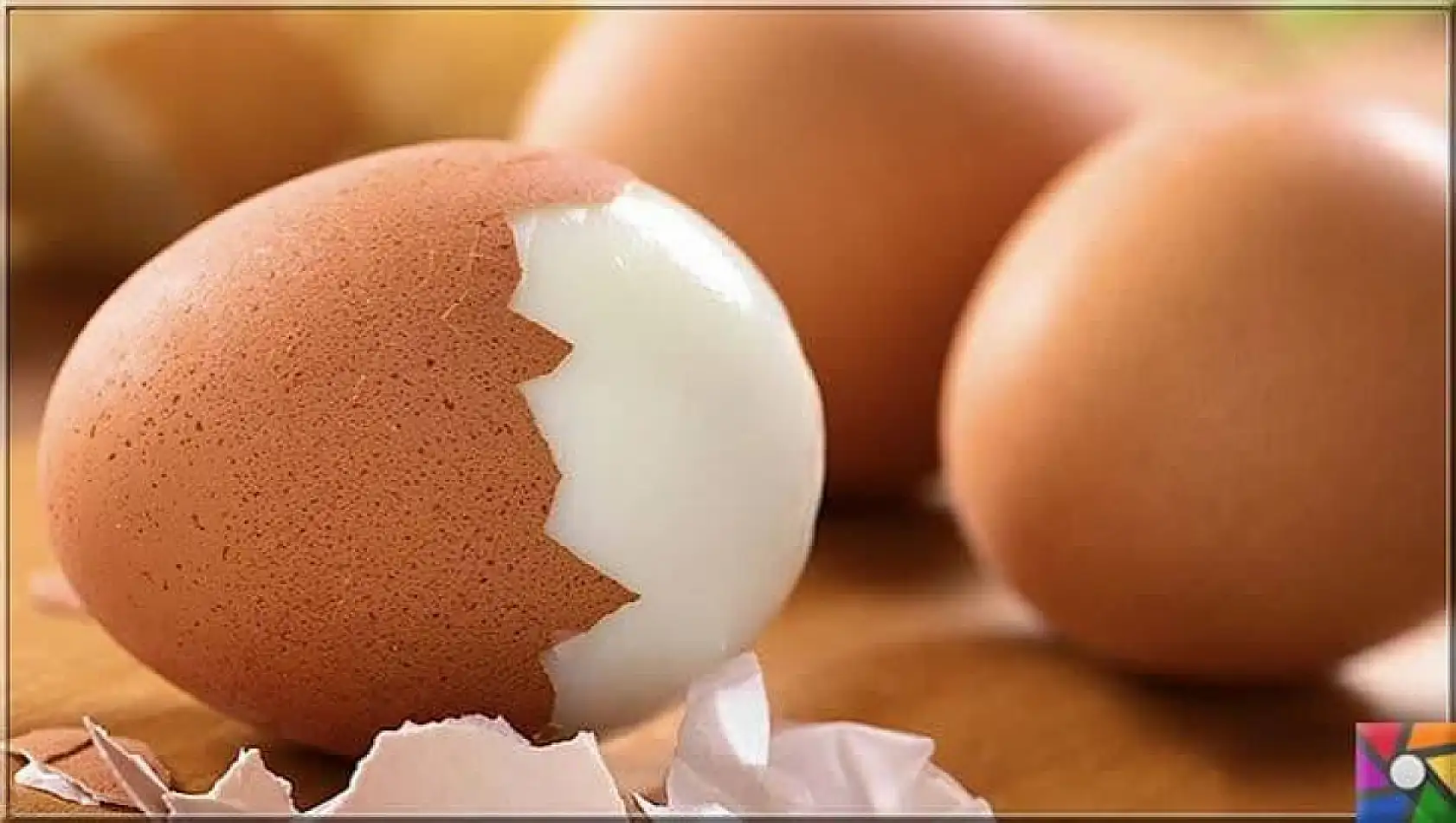 Yumurta alırken ilk rakama dikkat: 0, 1, 2 ve 3 bakın ne anlama geliyor