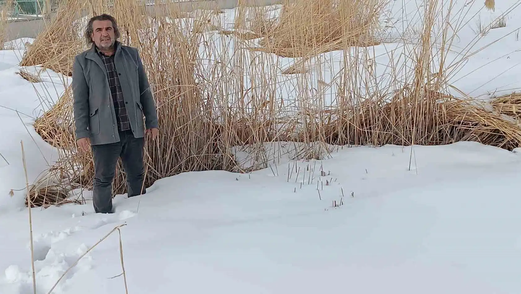 Kuşların ve doğanın sığınağı tehlike altında