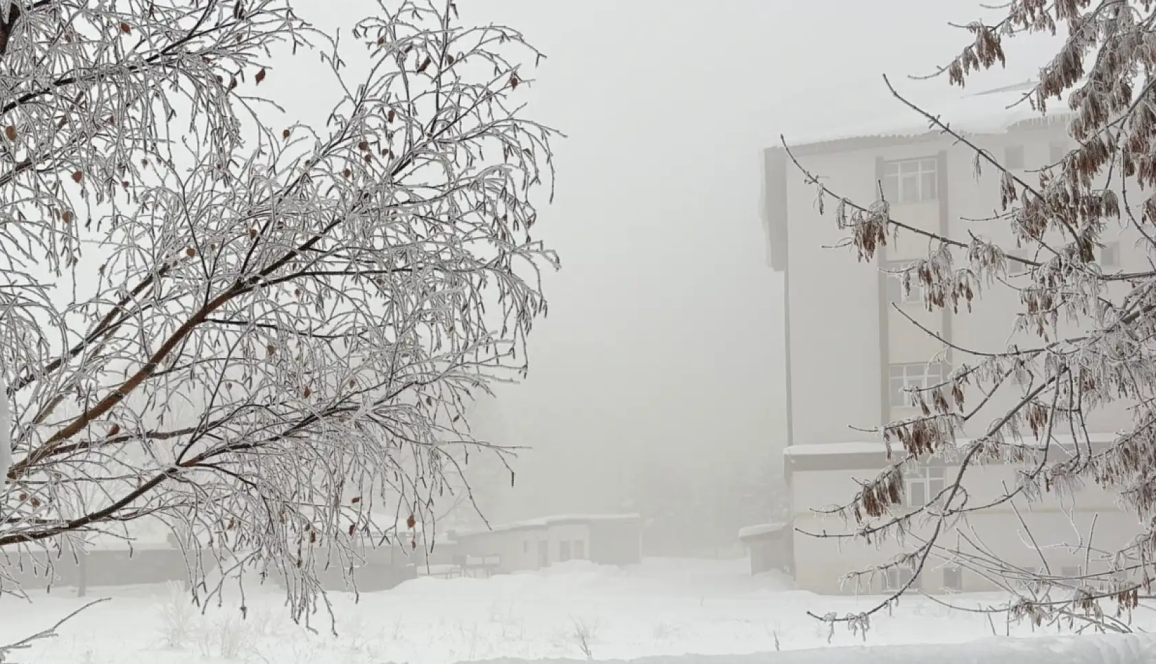 Ağrı'da kışın sert yüzü: Buzlanma ve sis, kentte zorluklar yaşatıyor