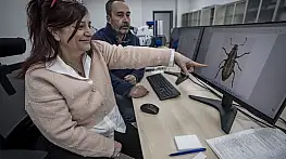 Anadolu'nun bilinmeyen böcekleri gün yüzüne çıkıyor