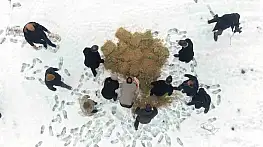 Beyaza bürünen dağlara merhamet taşındı