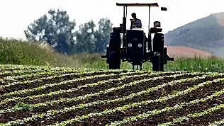 Bakanlık duyurdu: 94,3 milyon lira çiftçiye aktarılıyor