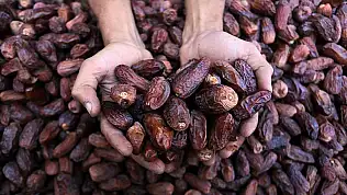 Ramazan öncesi hurma ithalatı dikkat çekti