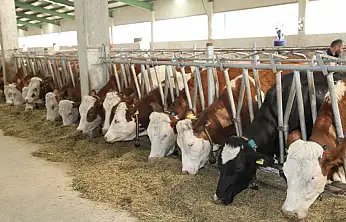 Ağrı, TRA2 Bölgesinin üretim üssü oldu