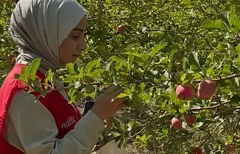 5 bin ağaçlık bahçede bu kez iyilik hasadı yapıldı
