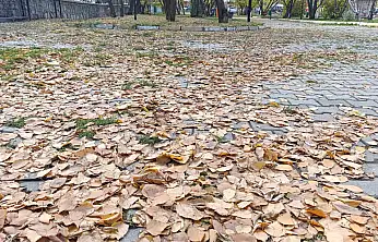 Ağrı 100. Yıl Parkı'nda sonbaharın sessiz yüzü kendini gösterdi