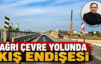 Ağrı çevre yolunda kış endişesi!