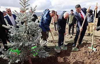 Ağrı'da 400 bin fidan toprakla buluşturuluyor
