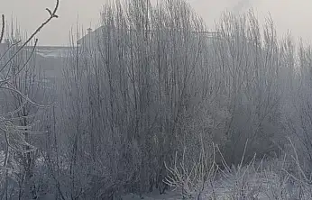 Ağrı'da araçlar ve ağaçlar buzla kaplandı