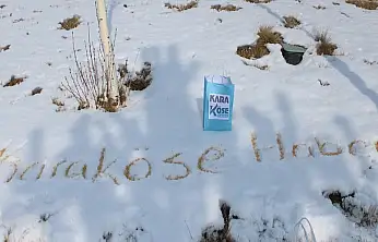 Ağrı'da Aralık ayı tersine döndü: Geçen yıl kar vardı, bu yıl güneş ısıttı