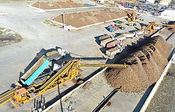 Ağrı'da ayçiçeği ve şeker pancarı üretimi kent ekonomisine can katıyor