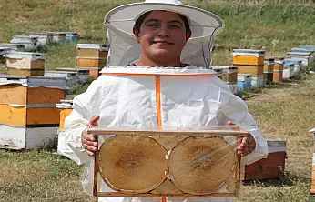 Ağrı'da baba oğulun geven balı mesaisi