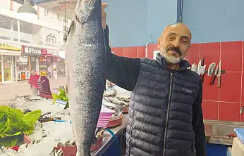 Ağrı'da balık sezonu açıldı! Tezgâhlarda hareketlilik başladı