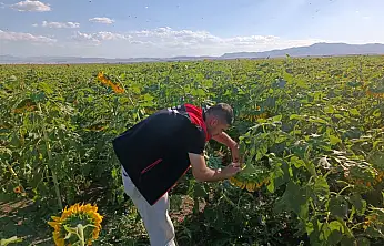 Ağrı'da bereketli sezon için tarlalar kontrol ediliyor