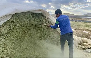 Ağrı'da besiciler zorlu kışa hazırlanıyor