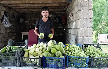 Ağrı'da bostandan gelen doğal ürünler sofraları süslüyor