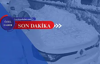 Ağrı'da çatılardan düşen kar araçları vurdu