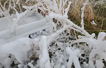 Ağrı'da dondurucu soğuklar etkili oluyor
