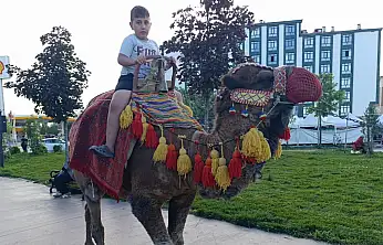 Ağrı'da gören bir daha baktı! Millet Bahçesi'ne deve geldi