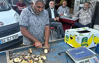 Ağrı'da hastaların peşine düştüğü kök dağlardan toplanıyor