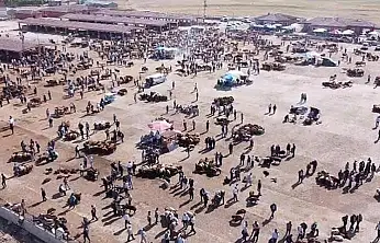 Ağrı'da hayvan yetiştiricilerinin beklediği haber geldi: Hayvan Borsası açılmayacak!