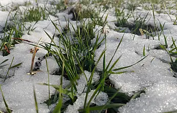 Ağrı'da kar geçişleri tarım arazilerini beyaz örtüyle kapladı