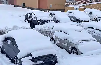 Ağrı'da yoğun kar yağışı kampüsü beyaza bürüdü