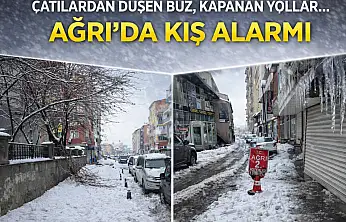 Ağrı'da kar yağışı sonrası hayat durdu
