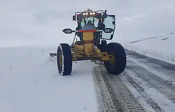 Ağrı'da karla mücadelede dokuz köy yolu ulaşıma açıldı