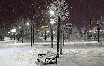 Ağrı'da kış sessizliği: Sokaklar ve parklar boş kaldı