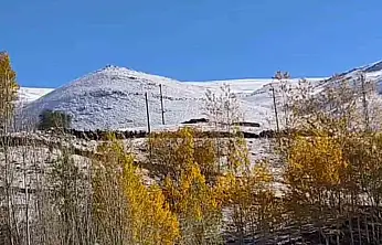 Ağrı'da kışın izleri: Karlıca Köyü'nde kar yağışı etkili oldu