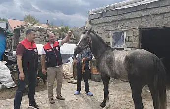 Ağrı'da mahallî at yarışları için hazırlıklar başladı