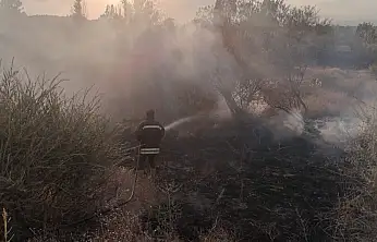 Ağrı'da mangal keyfi az kalsın faciaya dönüşüyordu