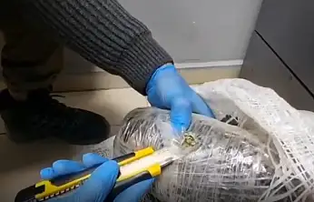 Ağrı'da Narkotik Operasyonu: Yüklü miktarda uyuşturucu ele geçirildi